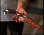Faith Lehane/Photo
